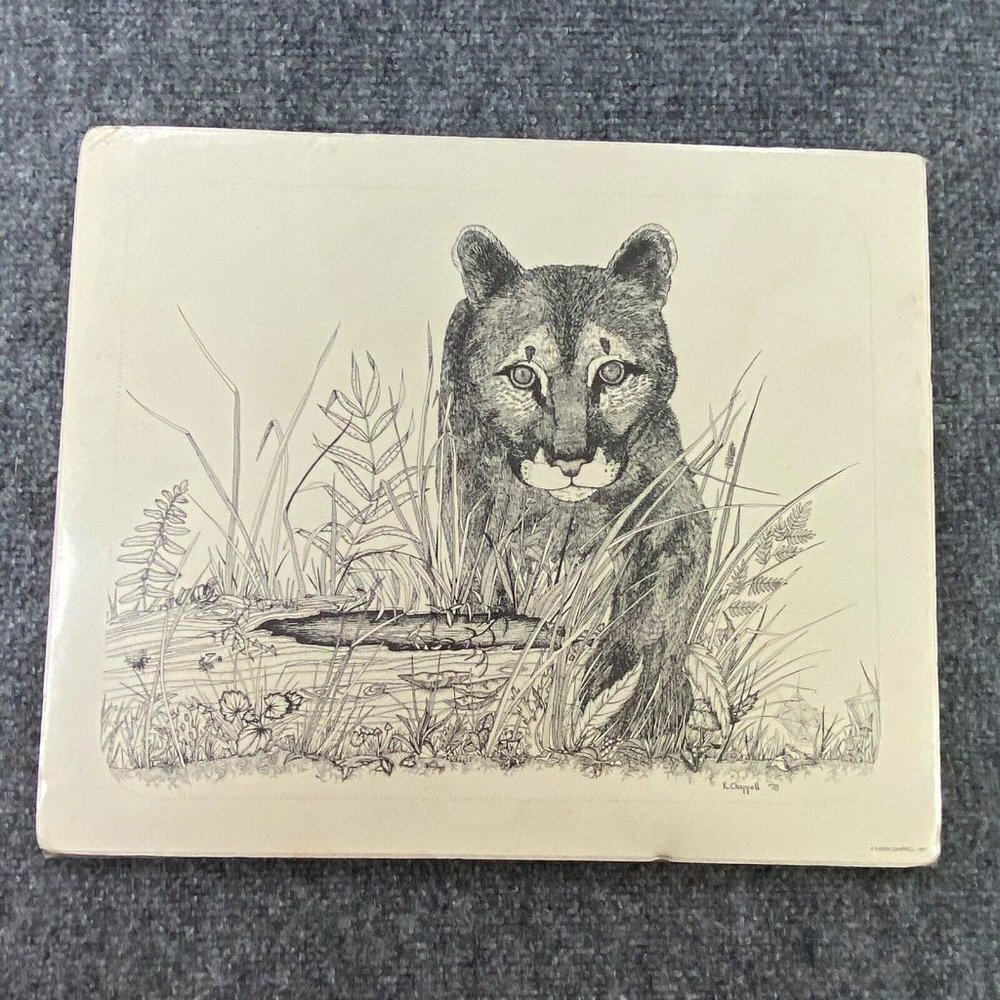 VTG 1978 Karen Chappell Mountain Lion Ink & Pencil Drawing‎ Signed Wildlife Art
